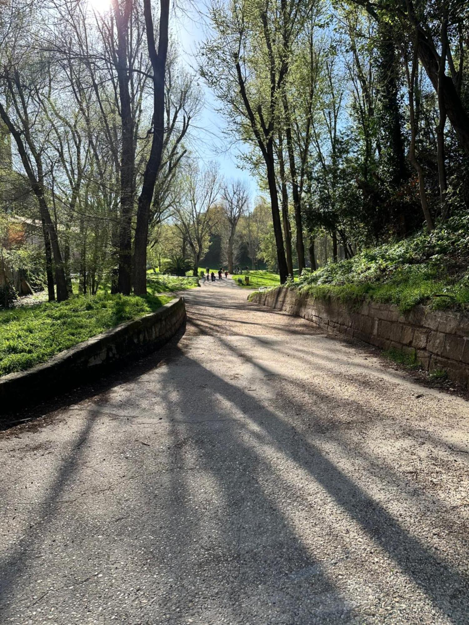 Apartamento Olimpia Pamphili - Centro Storico Di - Gianicolo Trastevere San Pietro *